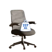 FlexiSpot Big Max office chair