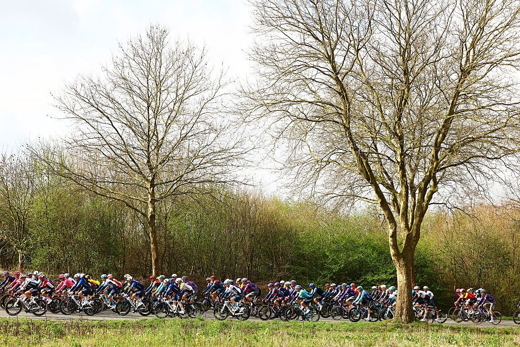 Mads Pedersen triomphe à Gent-Wevelgem grâce à une échappée sensationnelle de 56 km