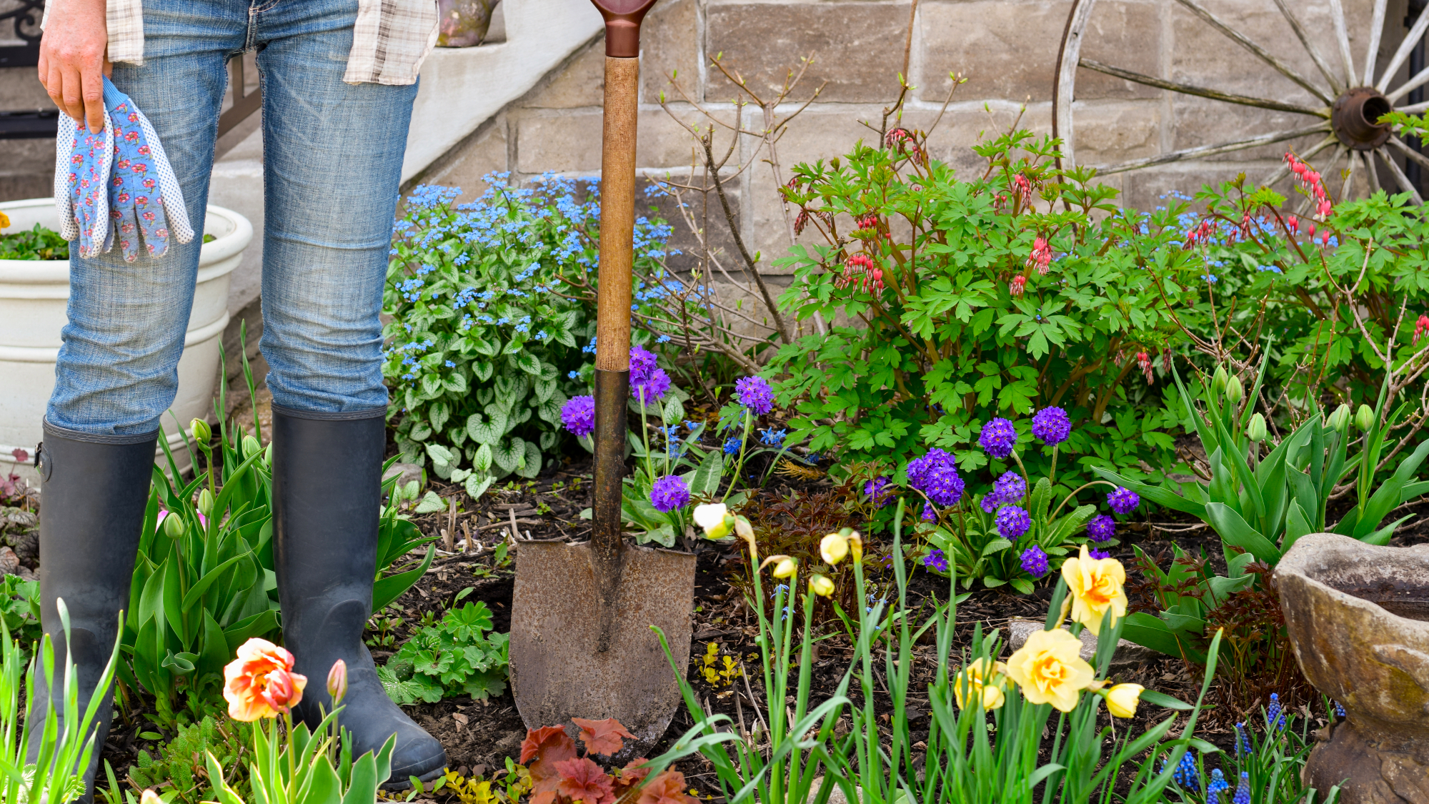 woman holding shovel in spring garden