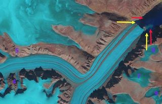 As the Coronation Glacier retreats (red arrows indicate its terminus in 1989), a little island has emerged (at the yellow arrows).