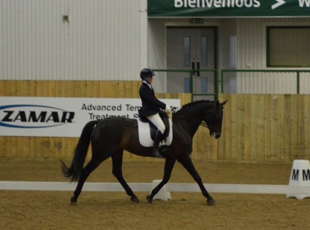 Amo hartpury