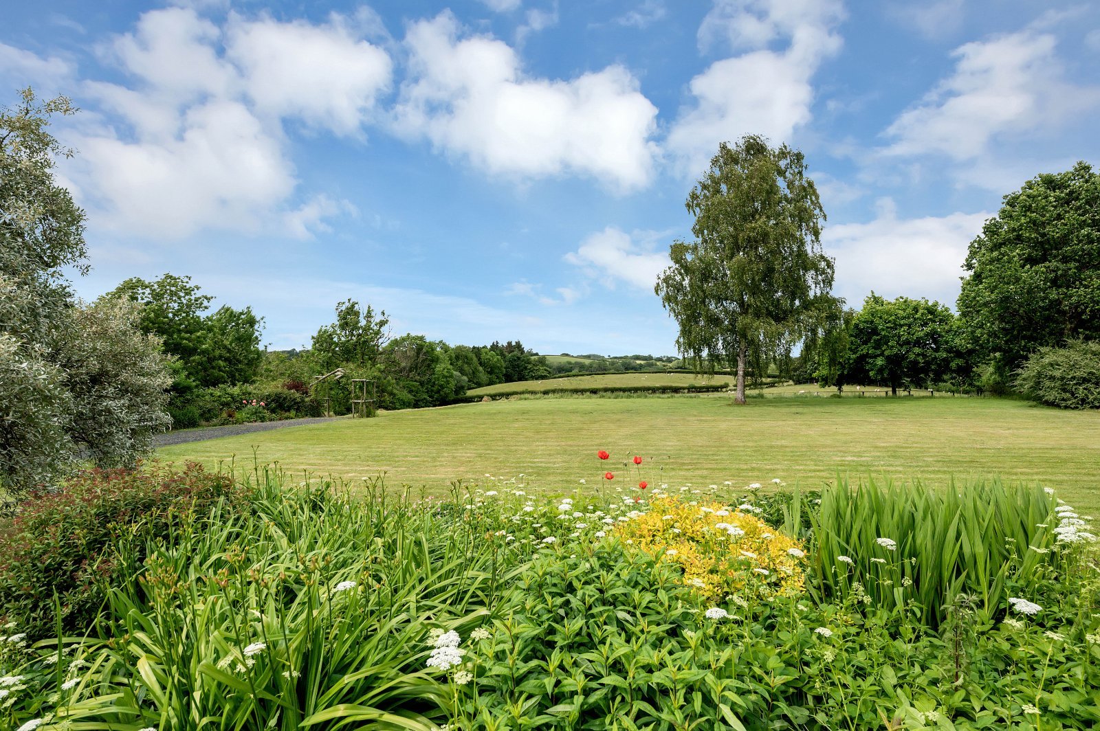Cefnllysgwynne Estate Property for Sale