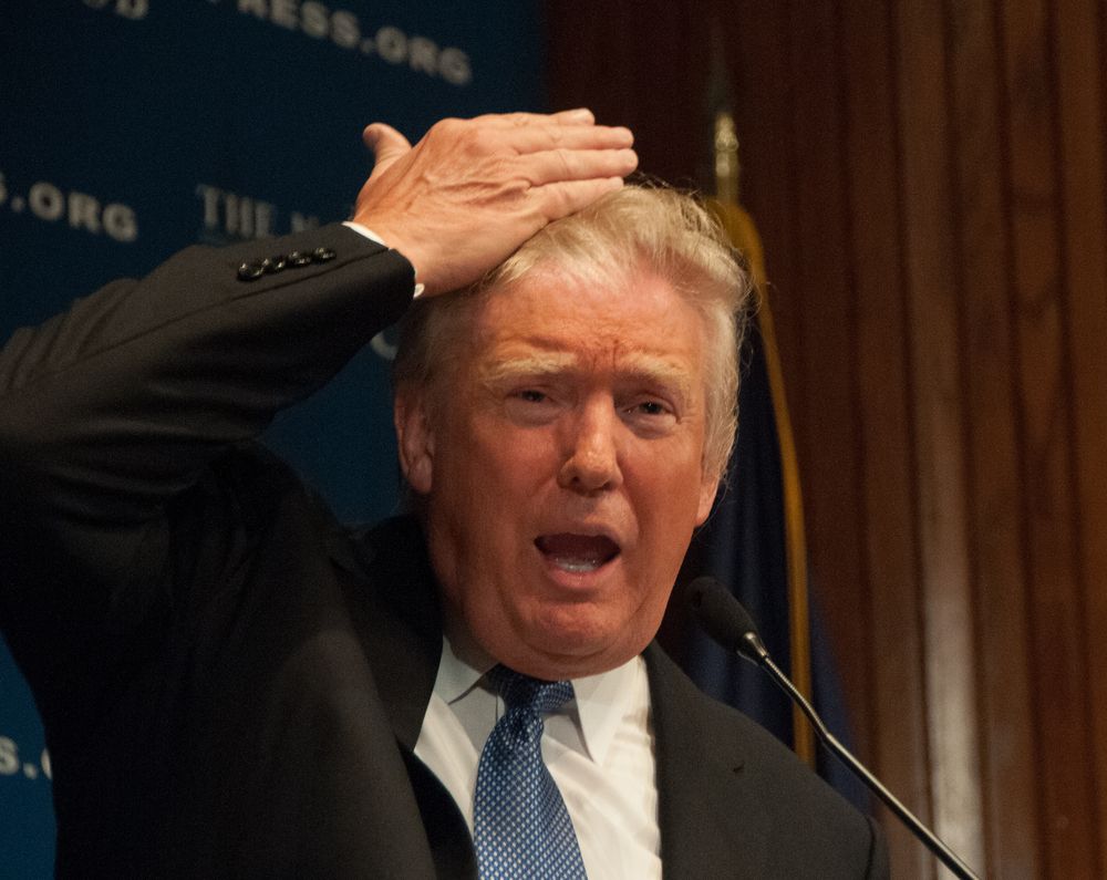 donald trump, trump, hair