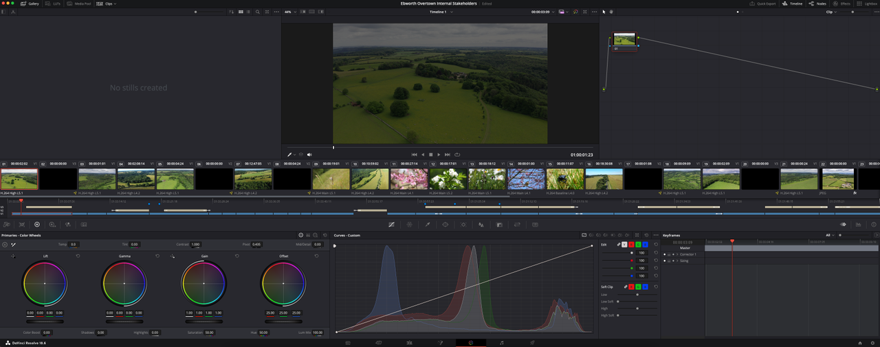 Screenshot from DaVinci Resolve 19