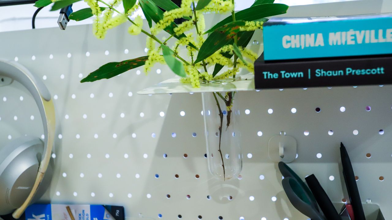Shelves are also on the the pegboard of the EverDesk Max