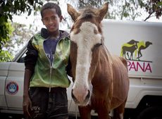 Child-brings-his-horse-to-mobile-clinic-Ethiopia-copyright-SPANA-Kate-Holt.jpg