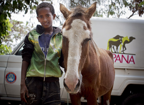 Child-brings-his-horse-to-mobile-clinic-Ethiopia-copyright-SPANA-Kate-Holt.jpg