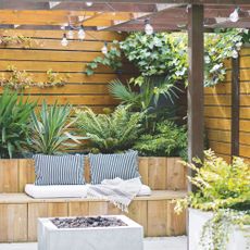 Outdoor sitting area underneath a pergola with plants and ivy growing above it