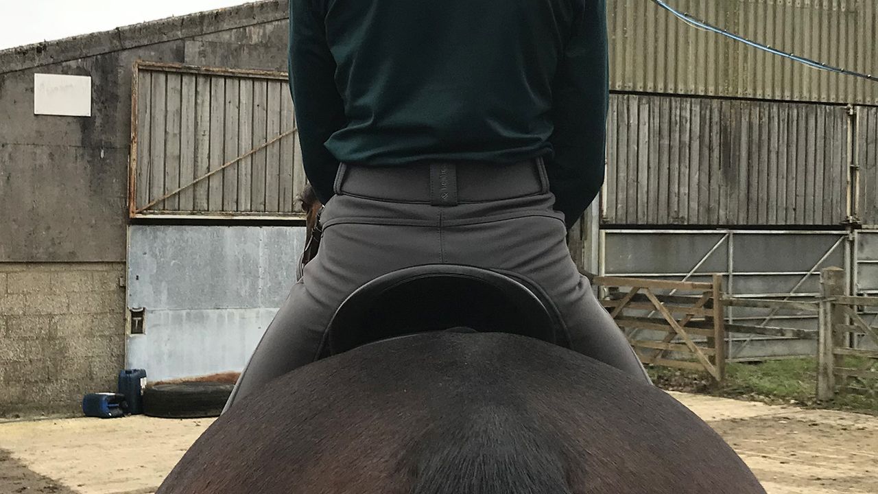 LeMieux Drytex Waterproof Breeches