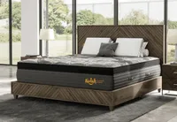 Nolah Evolution Hybrid Mattress
T3NOLAHDeal Ends March 19