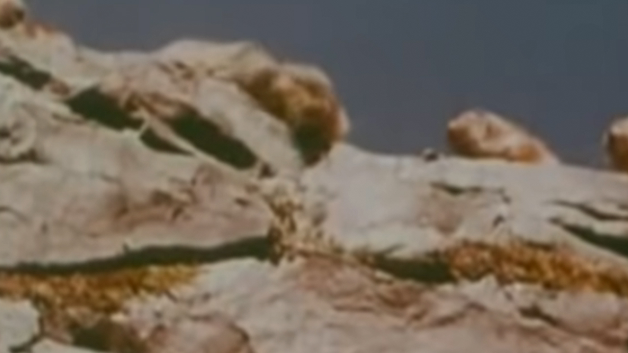 Lemmings peering over a cliff in White Wilderness