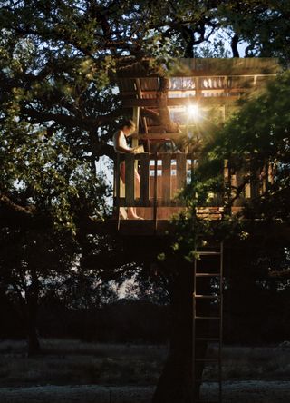 Treehouse escape