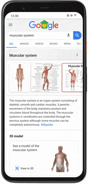 Google AR Muscular System
