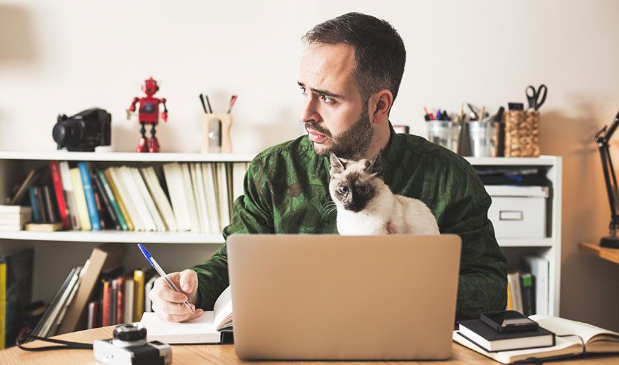 Entrepreneur with cat