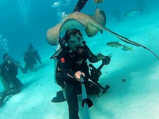 SeaLife AquaPod Underwater Monopod