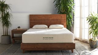 Avocado eco organic mattress