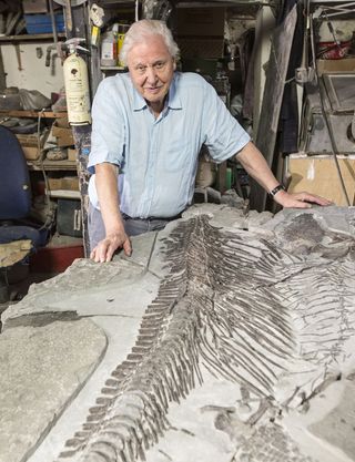 Sir David Attenborough with the sea dragon fossil
