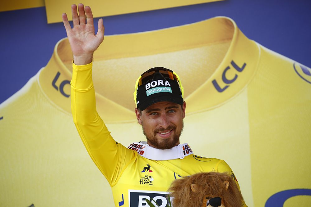 Peter Sagan took over the yellow jersey after winning stage 2 at the Tour de France