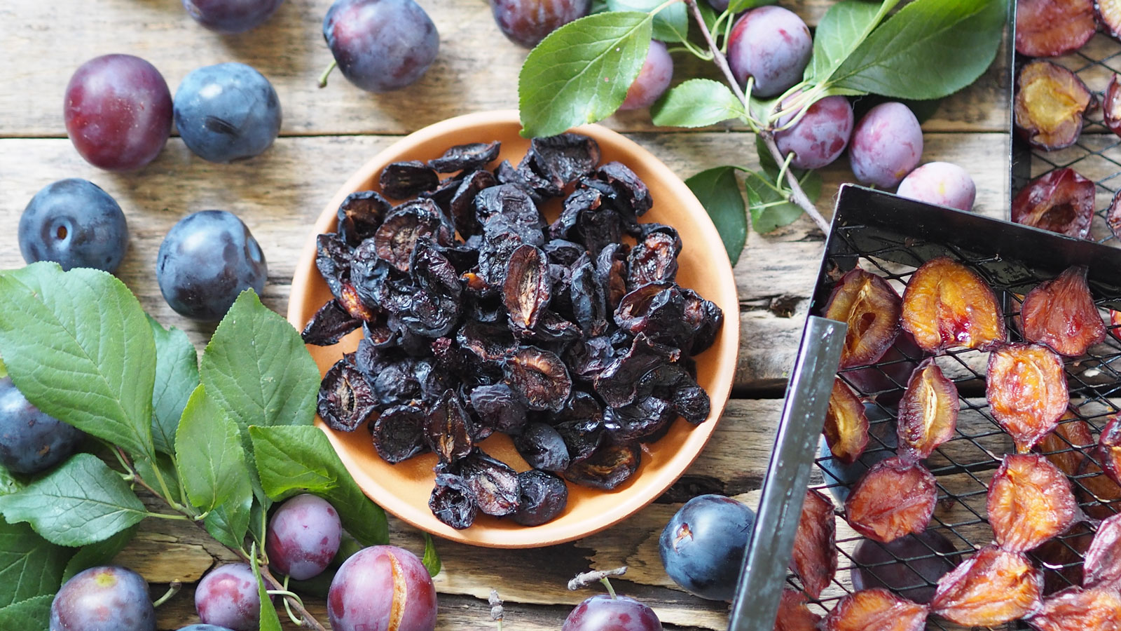 plums as fruits and dried preserves 