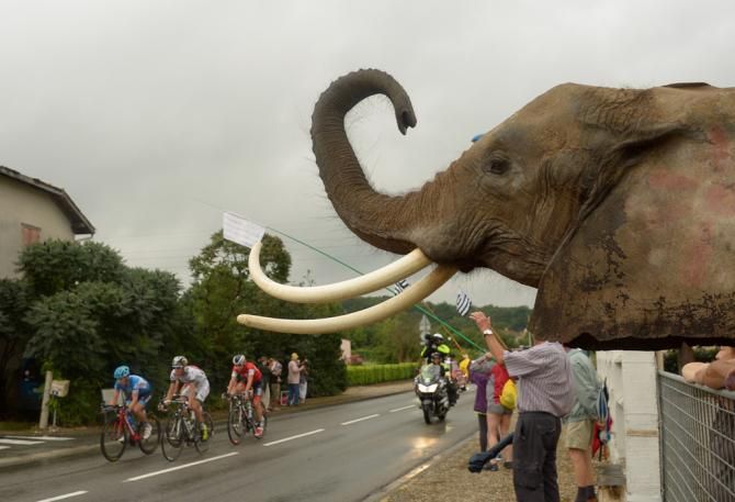Sometimes at the Tour there are unexpected supporters along the road ...