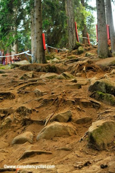 Sections of rocks and roots require great technical skill