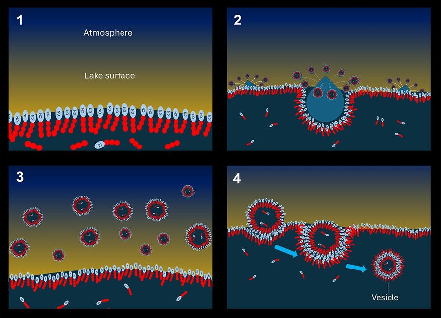 a four-panel image showing fuzzy circles joining together to form larger circles