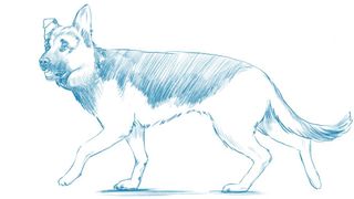 A sketch of a dog