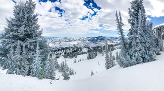 A view of a snowy ski resort down an empty run with pine trees