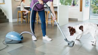 Dog chasing vacuum cleaner