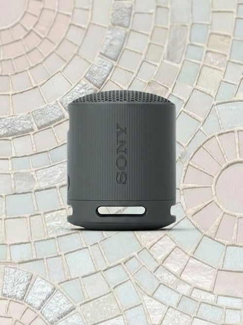 SRS-XB100 wireless Bluetooth speaker
