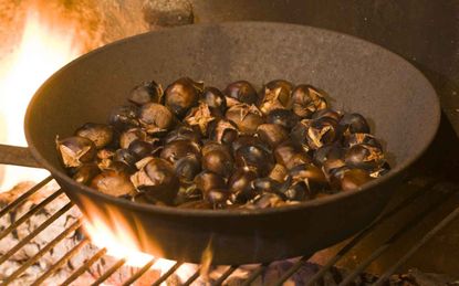 You Attempt to Roast Chestnuts...
