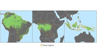 A new study has shown how satellite data can help to reduce deforestation. This image shows forest cover (shown in green) in Africa, Asia and South America. 