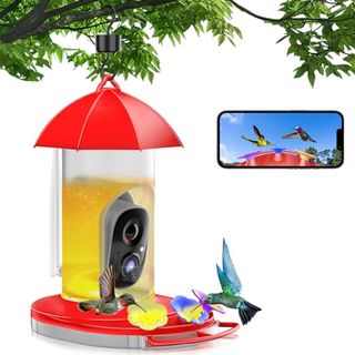 Hummingbird Feeder With Camera 