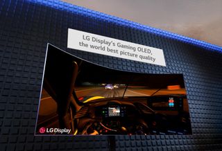 LG OLED gaming monitor