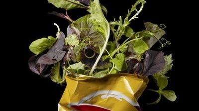 Salad in Packet