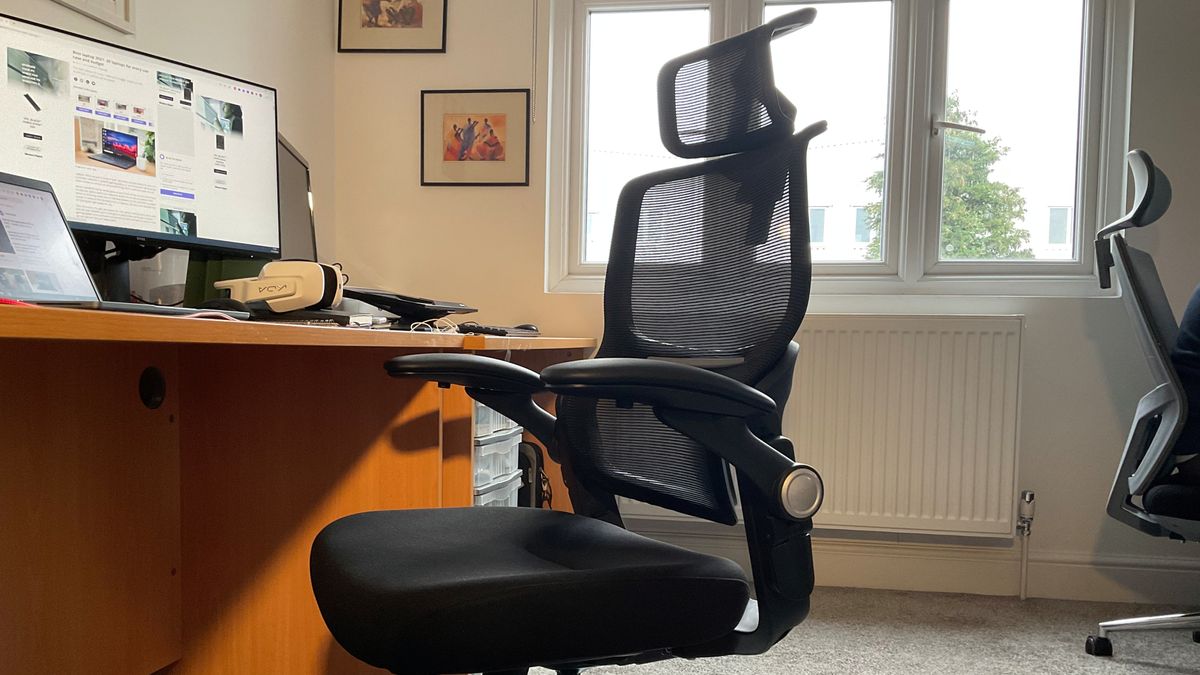 Flexispot BS1B Back Support office chair review Laptop Mag