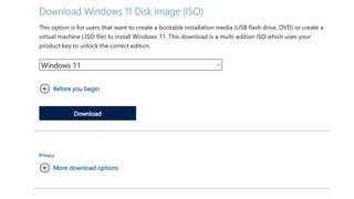 Downloading a Windows 11 iso
