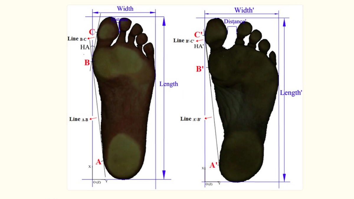 Normal Toe Print Split-toe sock technology | Advnture