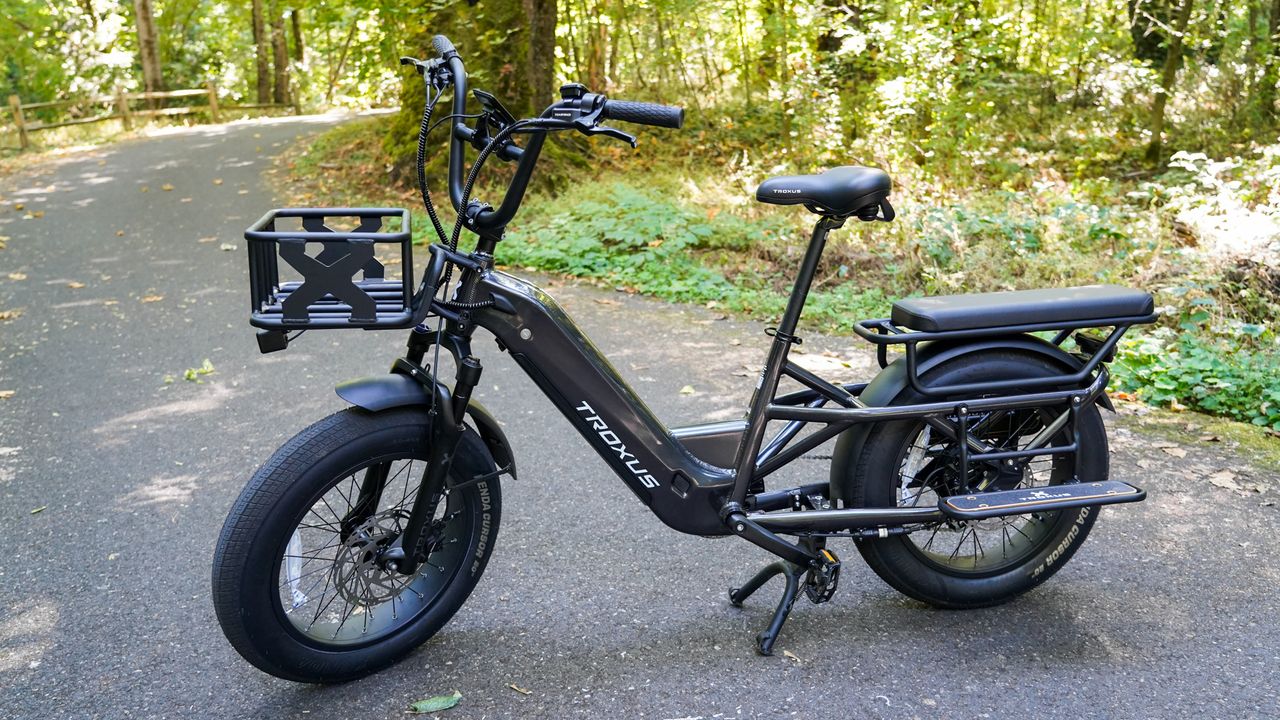 Troxus Lynx Cargo E-Bike