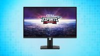 MSI Monitor