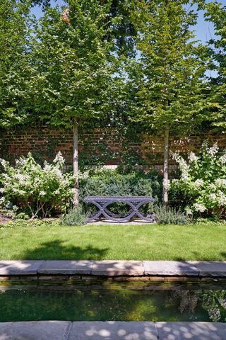garden with pond, lawn, trees, hedging and garden bench