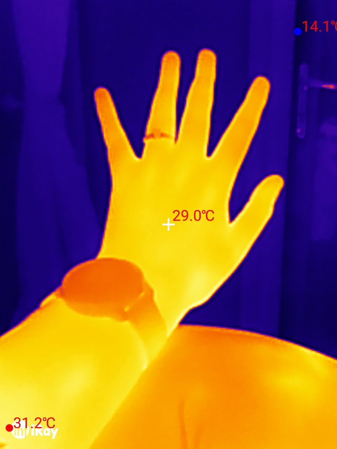 DOOGEE S98 Pro review: Thermal Imaging