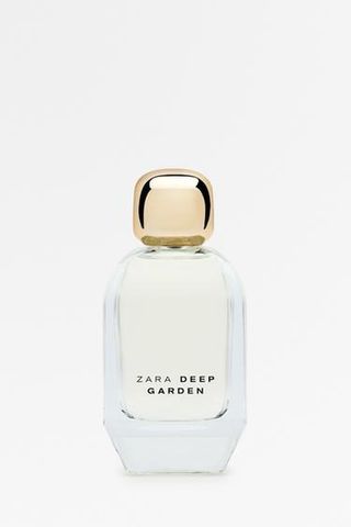 BLjECpPJFhYqcbGxDMuZrV-320-80 14 عطر زارا الذي رائحة مثل العطور المصمم