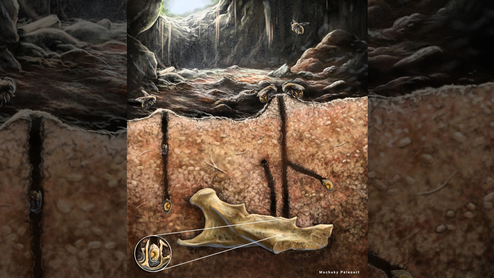 Illustration of bee nests inside fossilized bones buried underground in a cave.