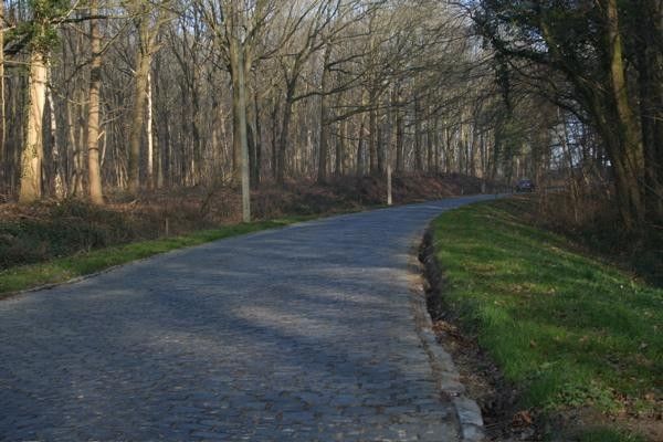 The Bosberg rises up through a wood on the way out of the district of Geraardsbergen.