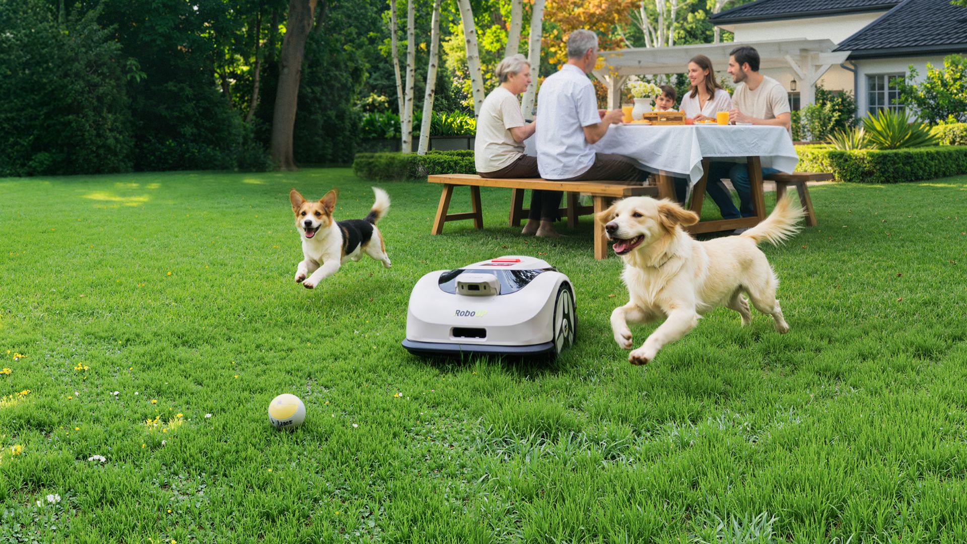 A RoboUP Raccoon 2 SE mowing next to two dogs in front of a family eating alfresco