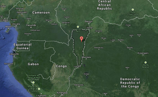 The Likouala region of the Democratic Republic of the Congo