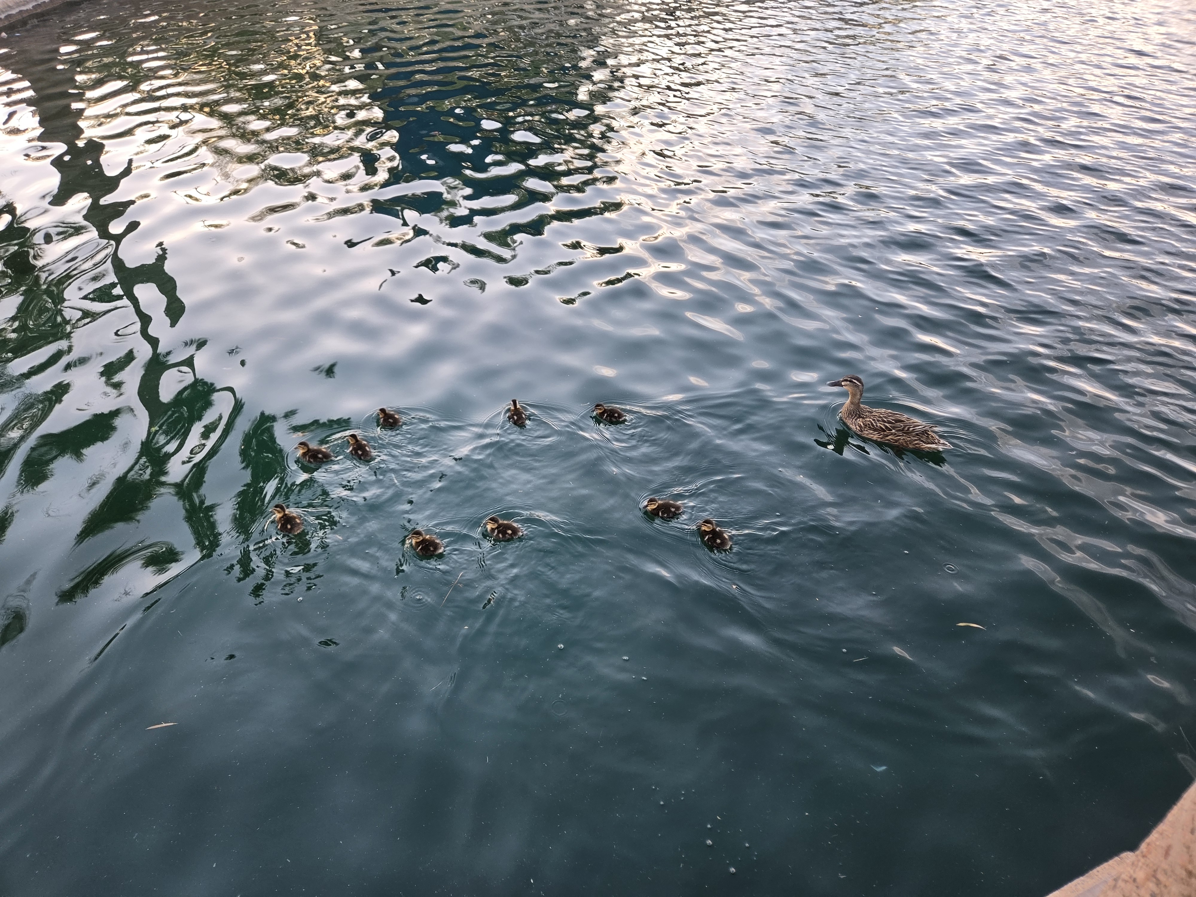 Camera samples captured with the Galaxy S26.