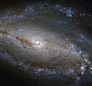 Galaxy NGC 613