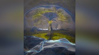 Aerial view of abstract patterns in colorful sand and water, resembling a tree with green foliage against dark textures.